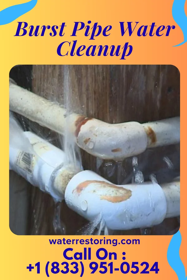 Burst Pipe Water Cleanup in Green, OH