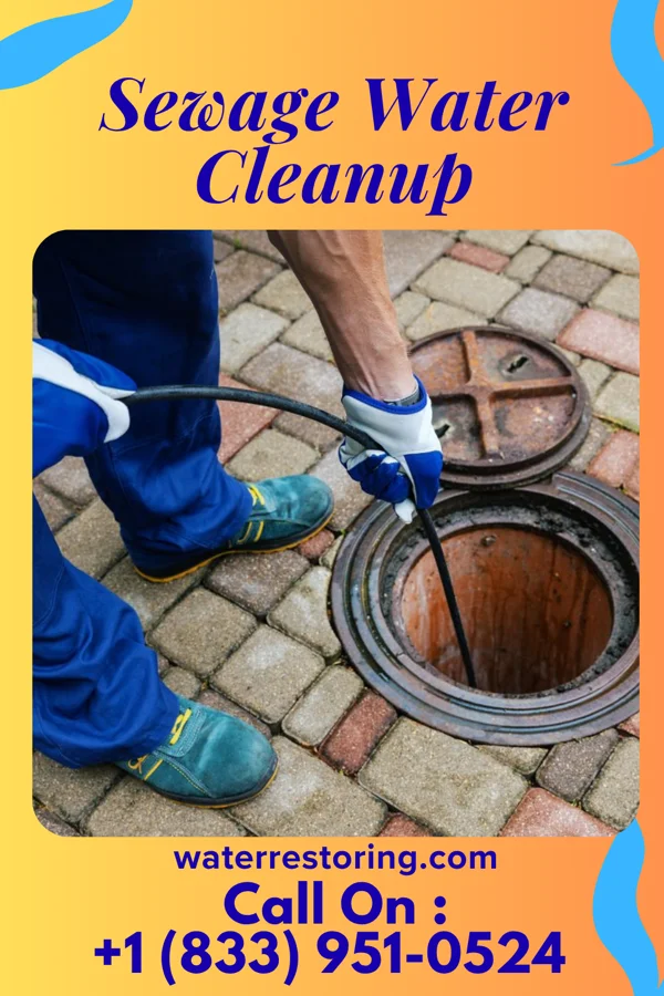 Sewage Water Cleanup in Green, OH